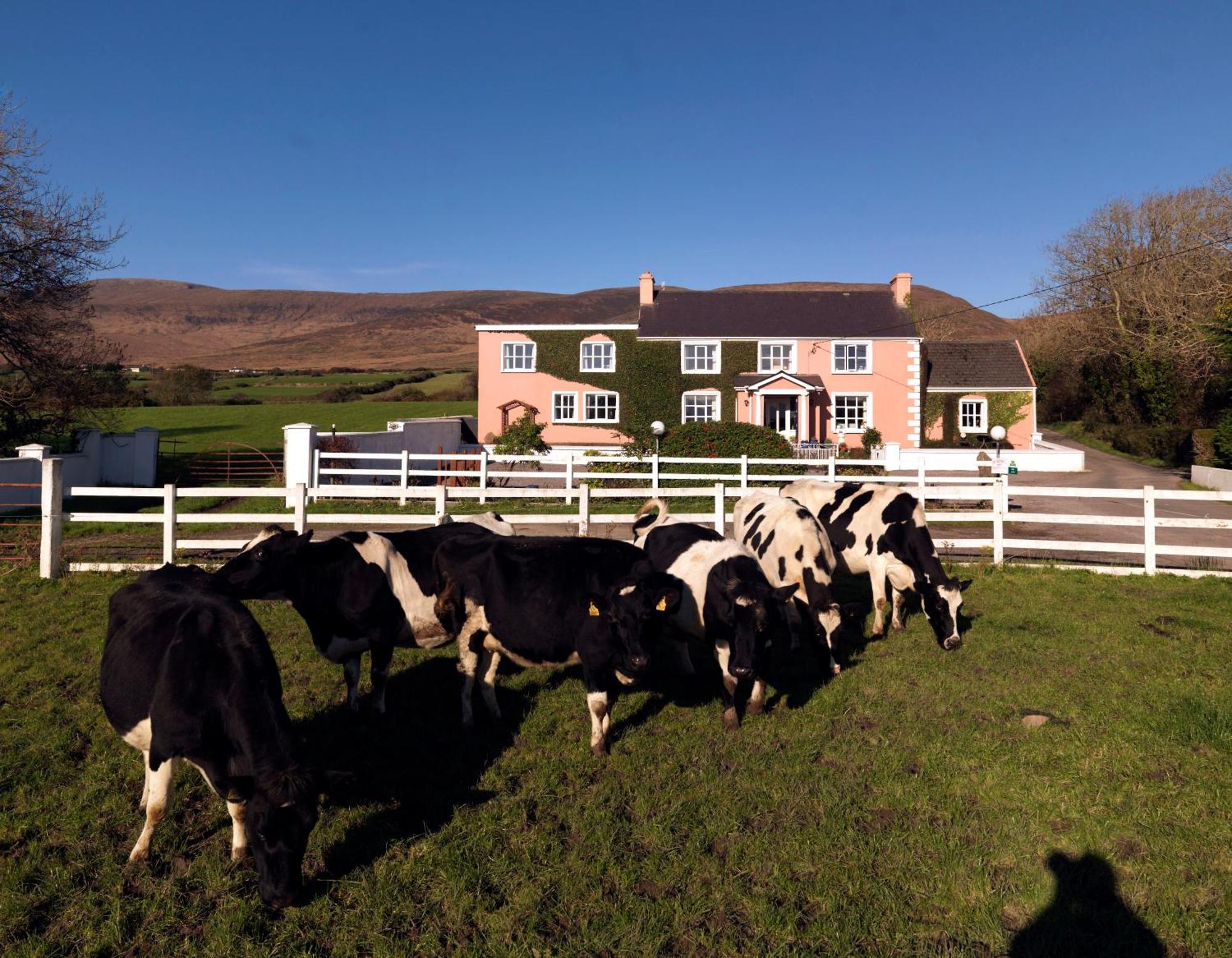 Murphys Farmhouse B&B Castlemaine Eksteriør bilde